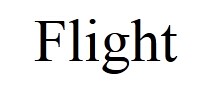 Flight 轻量级PHP框架