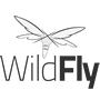 WildFly Java 应用服务器