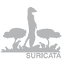 Suricata 网络入侵检测和阻止引擎